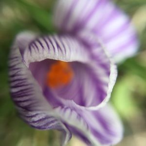 Meet your Posher, Apeil